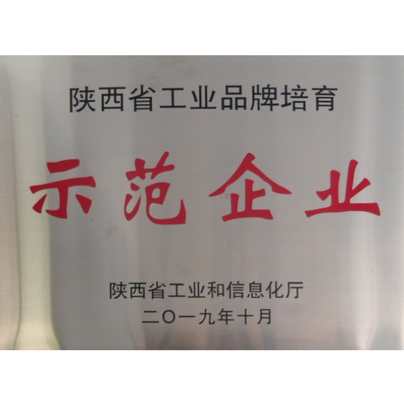 陜西省工業品牌培育示范企業